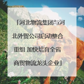河北物流集团与河北外贸公司启动整合重组 加快培育全省商贸物流龙头企业